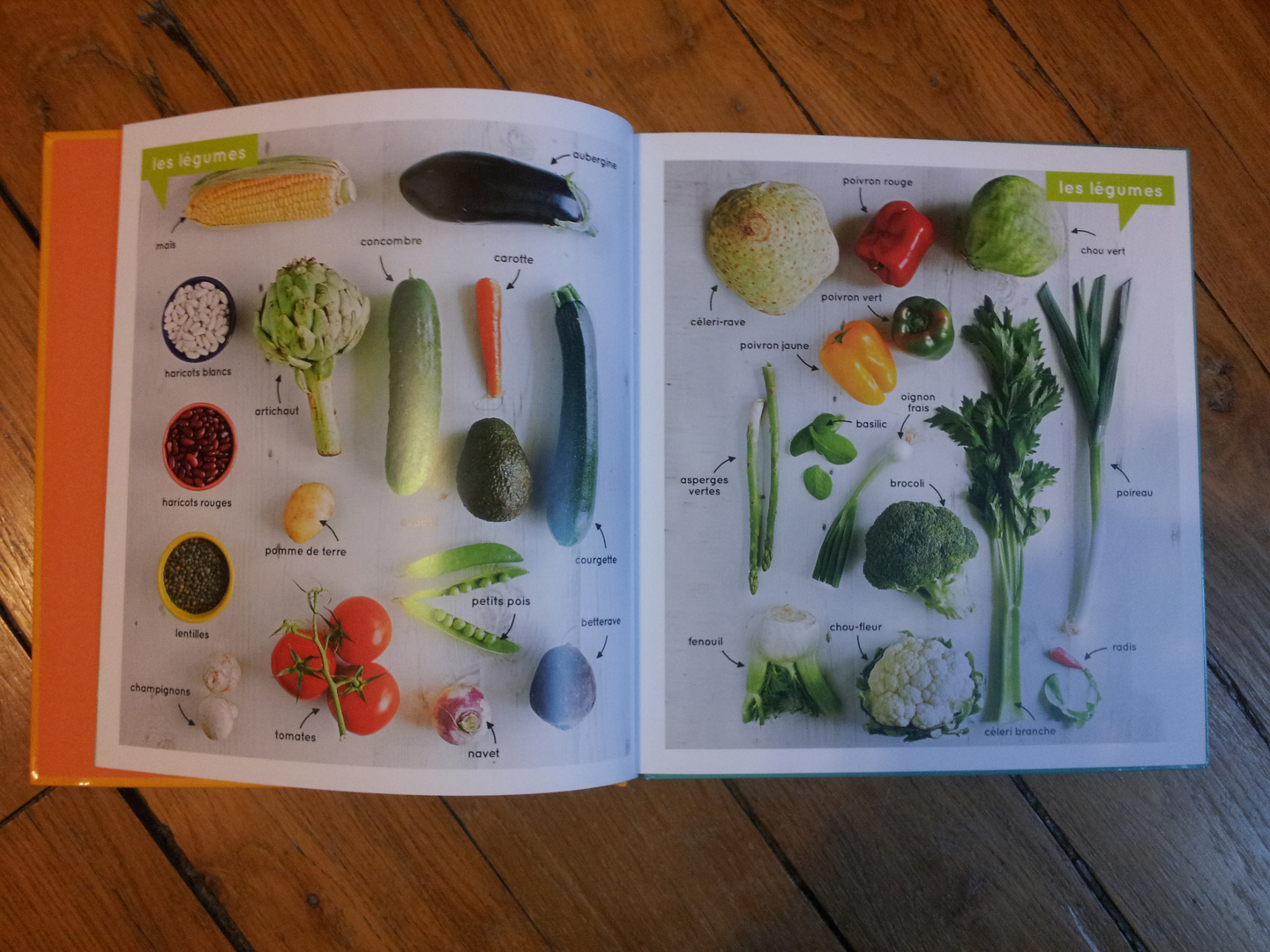 premier livre de recette