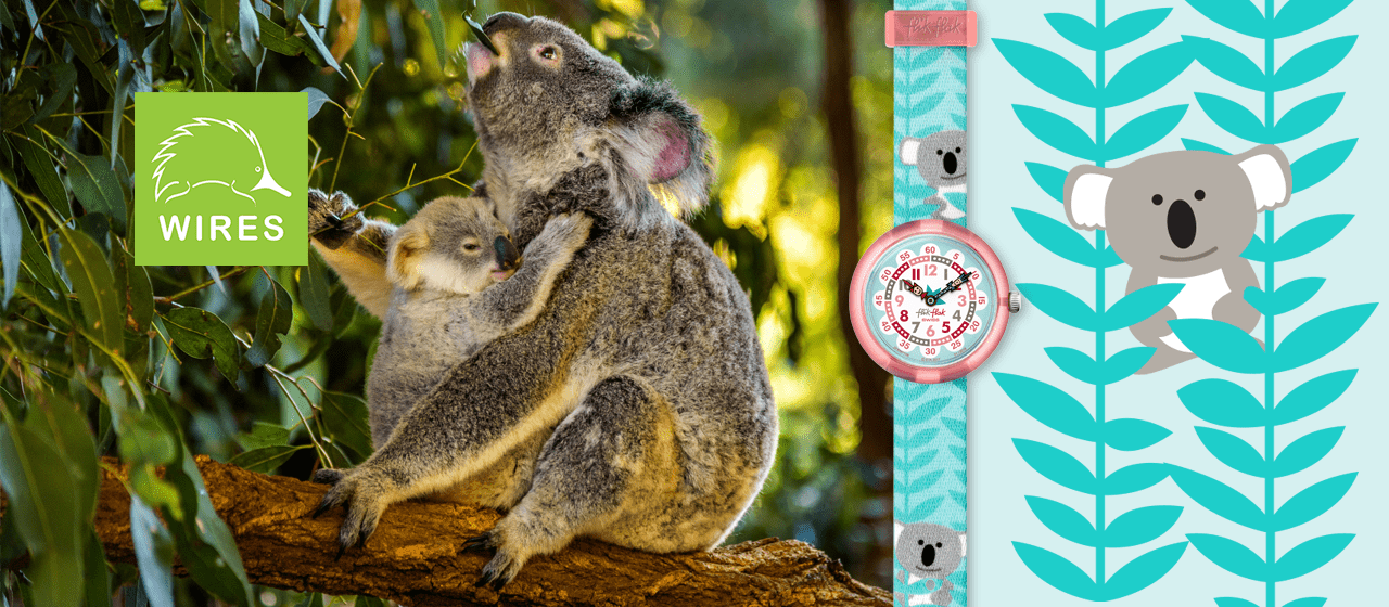 Montre flik online flak koala